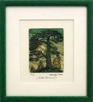 Velká borovice - Herbert Kisza - grafika 